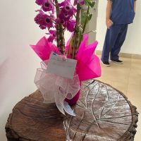 WhatsApp Image 2024 09 10 At 12.18.09