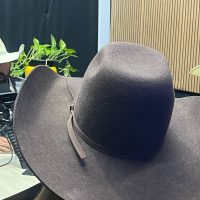 WhatsApp Image 2024 09 24 At 11.36.02