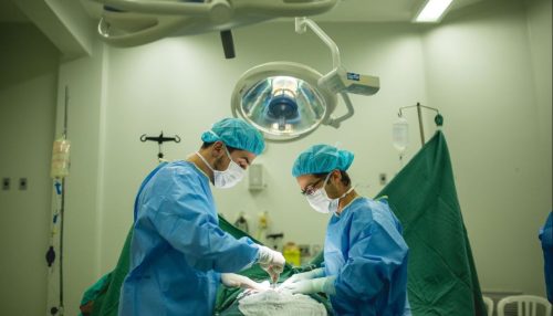 Governo de SP aumenta em 80% repasses para captação de órgãos para transplantes