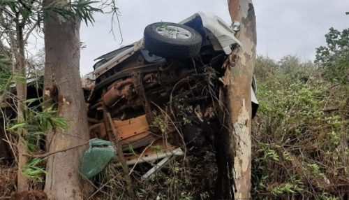 Homem morre após caminhonete capotar na rodovia e chocar-se contra árvore, em Dracena