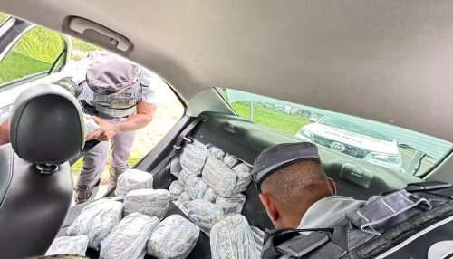 Dupla é presa após ser flagrada com mais de 64 kg de skunk escondidos dentro de veículo