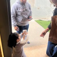 WhatsApp Image 2024 10 11 At 12.06.30