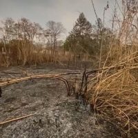 WhatsApp Image 2024 10 30 At 14.02.19 (1)