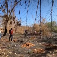 WhatsApp Image 2024 10 30 At 14.02.20 (1)