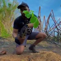 WhatsApp Image 2024 10 30 At 14.02.21 (1)