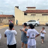 WhatsApp Image 2024 11 11 At 11.25.47