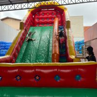 WhatsApp Image 2024 11 11 At 11.25.55