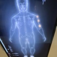 WhatsApp Image 2024 11 12 At 15.22.19