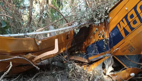 Mais uma Perda para Adamantina: Piloto Rogério Guido Morre em Acidente Aéreo