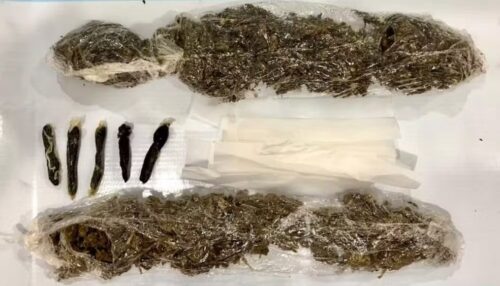 Mulher de detento é presa ao tentar entrar com maconha escondida no cós da calça na Penitenciária de Pracinha