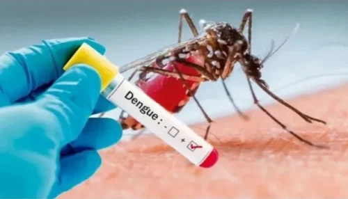 Casos de Dengue em Adamantina: 4 positivos e 37 notificações em janeiro