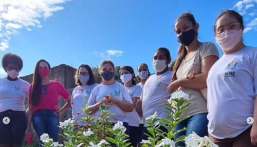 Imposto de Renda do Bem: sua destinação gratuita pode ajudar  a APAE de Adamantina