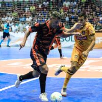 WhatsApp Image 2025 04 30 At 08.28.36