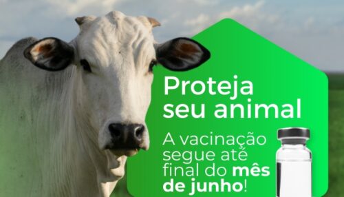 Campanha de Vacinação contra a Brucelose segue até final do mês de junho