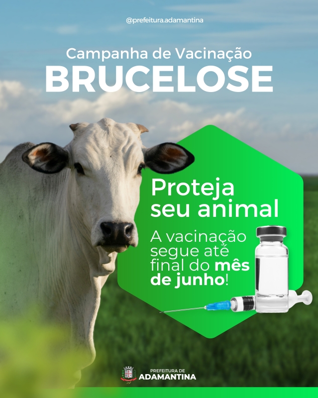 Campanha de Vacinação contra a Brucelose segue até final do mês de junho