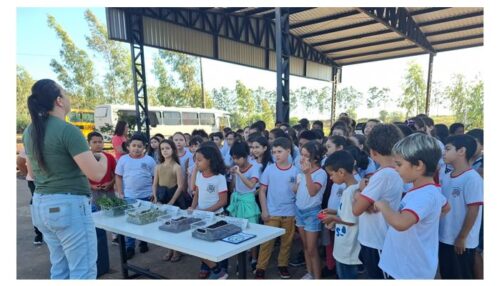 Alunos do 4º ano da EMEF Navarro de Andrade conhecem o Centro de Compostagem Municipal