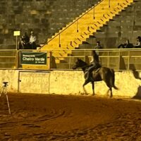 WhatsApp Image 2025 05 20 At 15.10.24