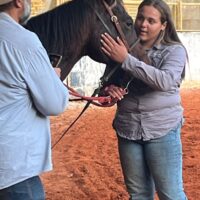 WhatsApp Image 2025 05 20 At 15.10.52 (1)