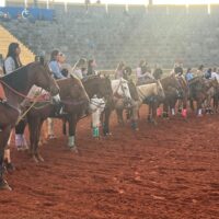 WhatsApp Image 2025 05 20 At 15.11.56