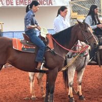 WhatsApp Image 2025 05 20 At 15.12.02