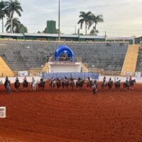 WhatsApp Image 2025 05 20 At 15.12.04