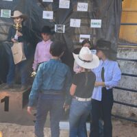 WhatsApp Image 2025 05 20 At 15.12.36