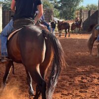 WhatsApp Image 2025 05 20 At 15.13.14 (2)