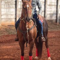 WhatsApp Image 2025 05 20 At 15.13.15 (1)