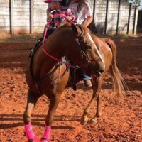 WhatsApp Image 2025 05 20 At 15.13.16 (1)