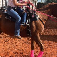 WhatsApp Image 2025 05 20 At 15.13.16 (2)