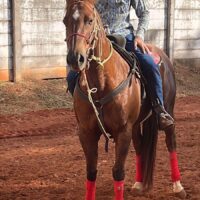 WhatsApp Image 2025 05 20 At 15.13.16