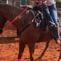 WhatsApp Image 2025 05 20 At 15.13.17