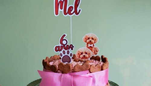 Doces Patinhas Kit Festa Pet  realiza a festa do seu filho de 4 patas.