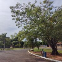 WhatsApp Image 2025 06 19 At 10.34.30