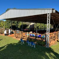 WhatsApp Image 2025 06 26 At 14.50.29