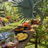 WhatsApp Image 2025 06 27 At 16.28.18 (1)