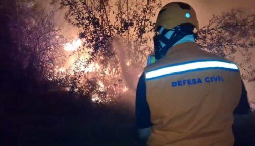 Incêndio de grandes proporções atinge área de vegetação em Parapuã