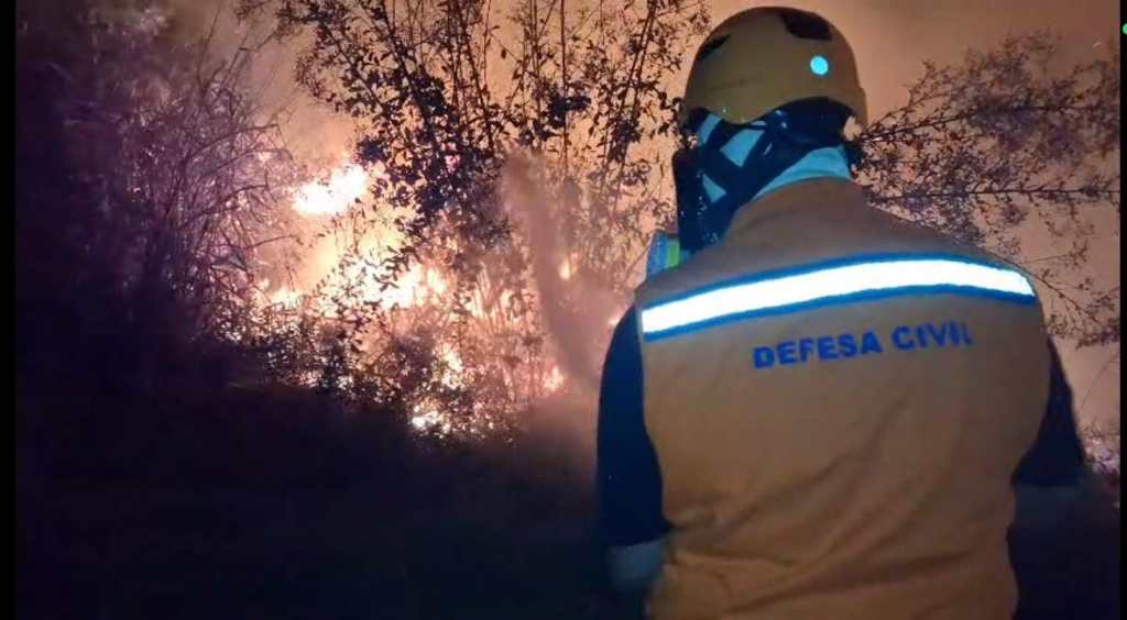 Incêndio de grandes proporções atinge área de vegetação em Parapuã