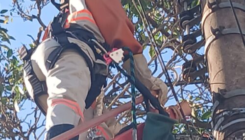 Aberto também para mulheres, Energisa oferece curso gratuito para formação de eletricistas em Prudente