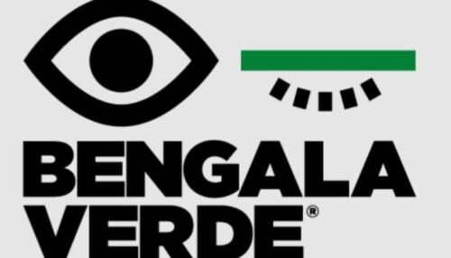 Sandra Queiroz Recebe Moção de Congratulação e Se Torna Símbolo de Superação no Projeto Bengala Verde