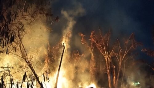 Queimadas provocam danos ao sistema elétrico e impactam o fornecimento de energia para mais de mil clientes