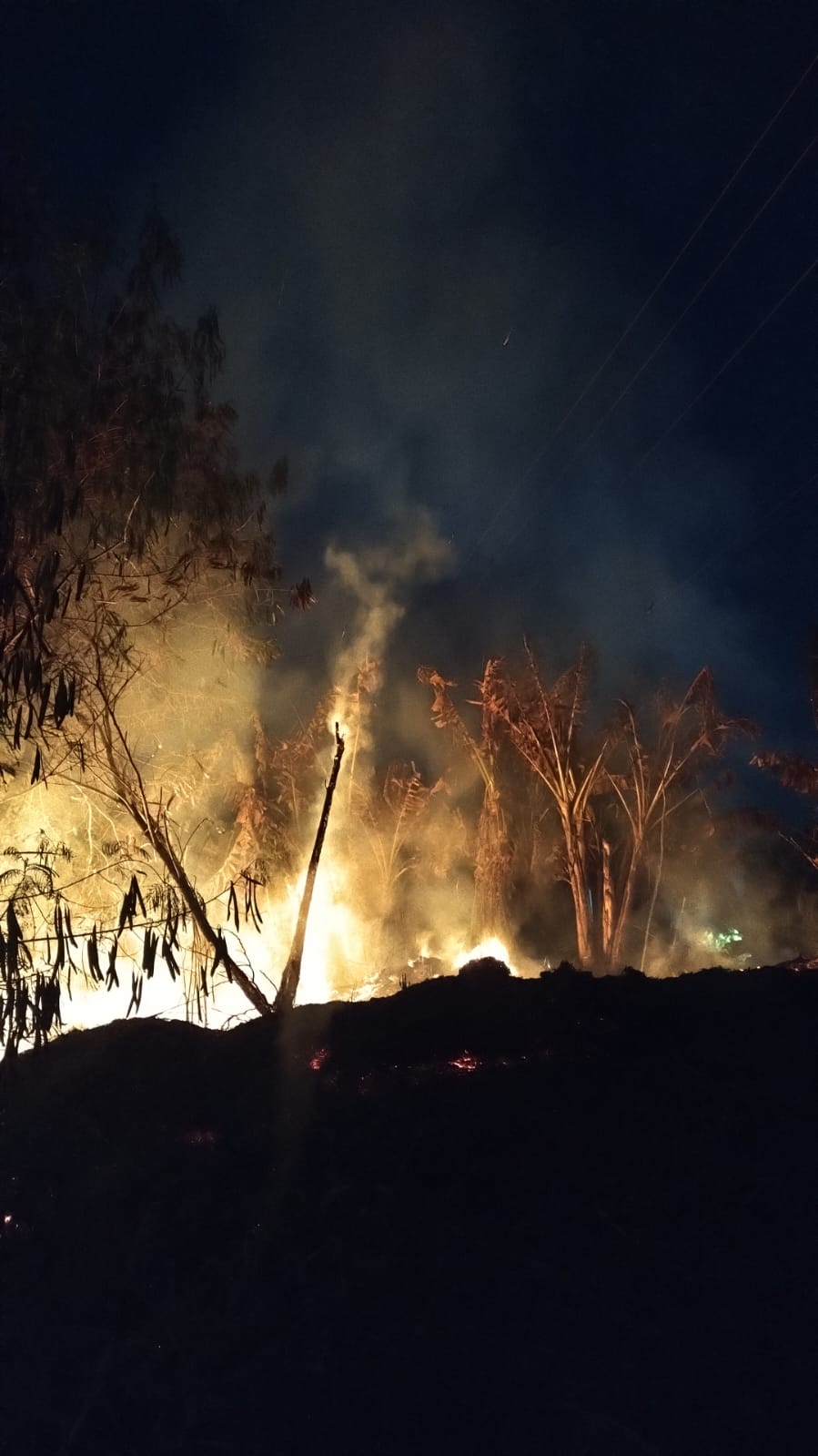 Queimadas provocam danos ao sistema elétrico e impactam o fornecimento de energia para mais de mil clientes