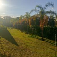 WhatsApp Image 2025 07 22 At 21.45.33