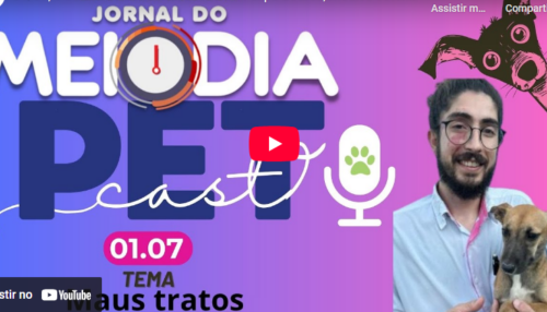 Veterinário alerta sobre maus-tratos a animais