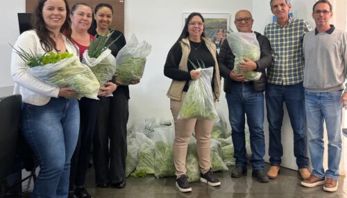 Horta Solidária e Didática da FAI doa mais de 200 cestas de hortaliças