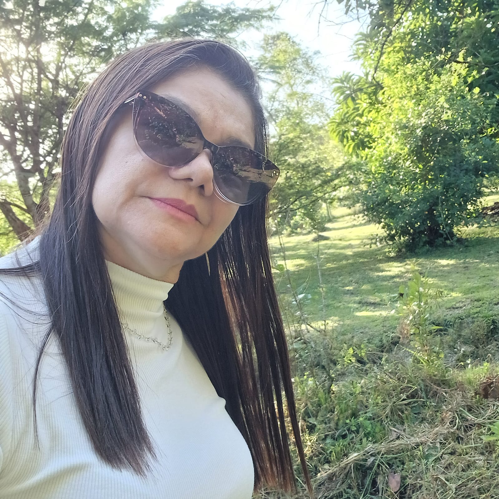 O Demônio Alado, e os dois triângulos