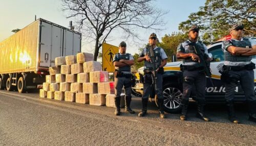 Homem é preso transportando mais de 1 tonelada de maconha escondida em carga de frango, em Rancharia