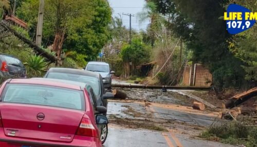 Energisa Sul-Sudeste normaliza 90% do fornecimento após tempestade com ventos de 82 km/h