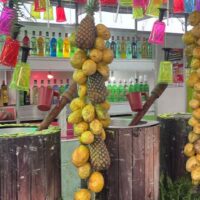 Cópia De Patrocinadores (5)