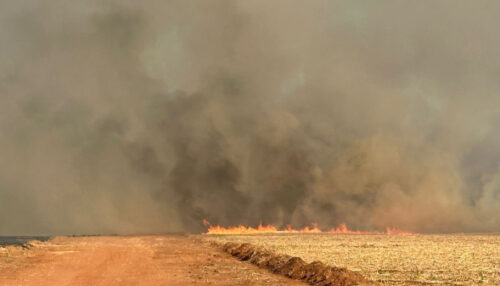Incêndio de grandes proporções atinge área de cana-de-açúcar entre Flórida Paulista e Adamantina